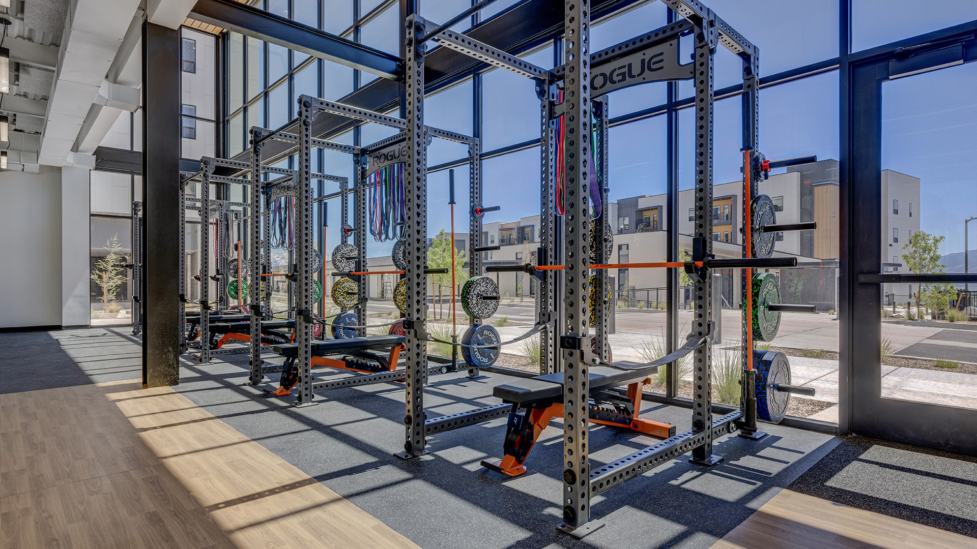 Gym view of the squat racks.